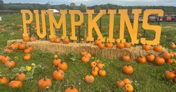 pumpkin trail