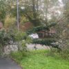 storm boelo