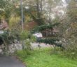 storm boelo