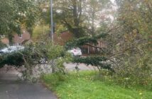 storm boelo
