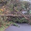 storm boelo