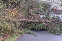 storm boelo