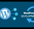 WordPress services