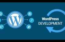 WordPress services