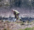 fires in the open