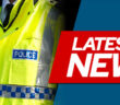 vehicle thefts