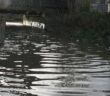 flood warnings